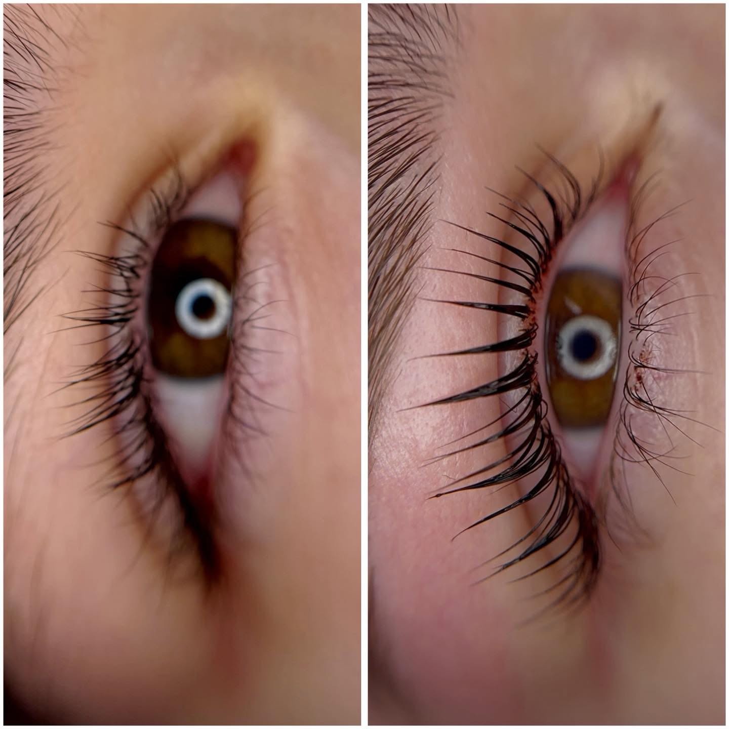 Lash lift and tint result, lashes lifted from the lash line